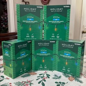 Holiday Living "Set of 5 box" 100 Multicolor LED Mini String Christmas Lights